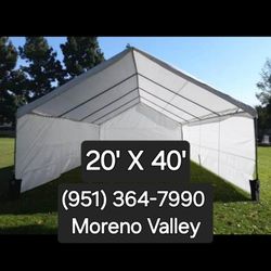 Tarp