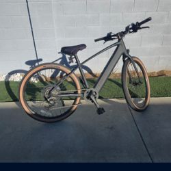 Trek FX +1 2025 Model 