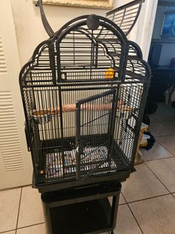 cage jaula