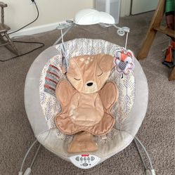 Baby Bouncer 
