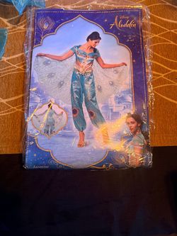Disney Aladdin Jasmine Costume Size M (8-10)