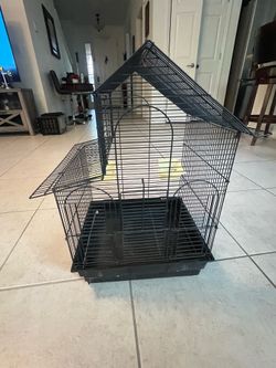 Bird Cage
