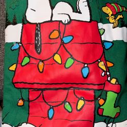 Light up Snoopy Sweatshirt 