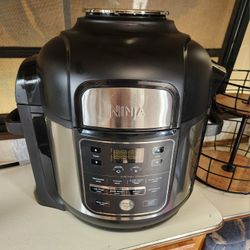 Ninja Air Fryer
