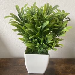 Small Fake Plant