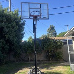 Basketball Hoop