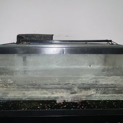 50 Gallon With Stand And Supplies 