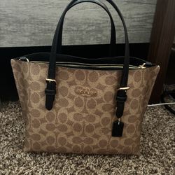 Mollie Tote Bag 25 In Signature Canvas