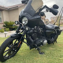 2017 Iron 883 Harley Davidson 