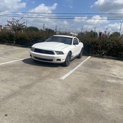 2010 Ford Mustang
