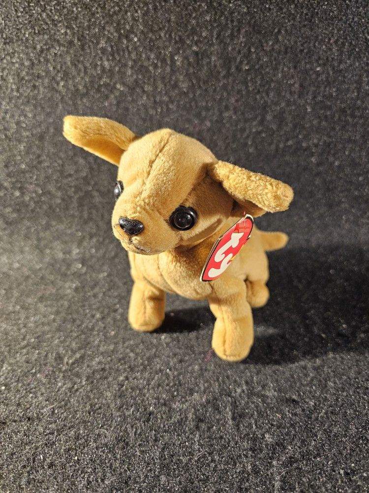 Original Ty Beanie Baby Chihuahua Tiny DOB 9/8/98/ Tag 1999 With Tag & Protector