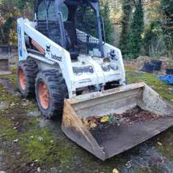 Bobcat 