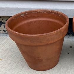 Flower Pot