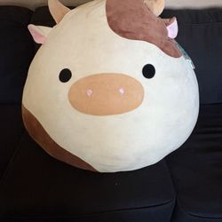 Squishmallow 