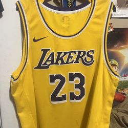 LeBron James Jersey 