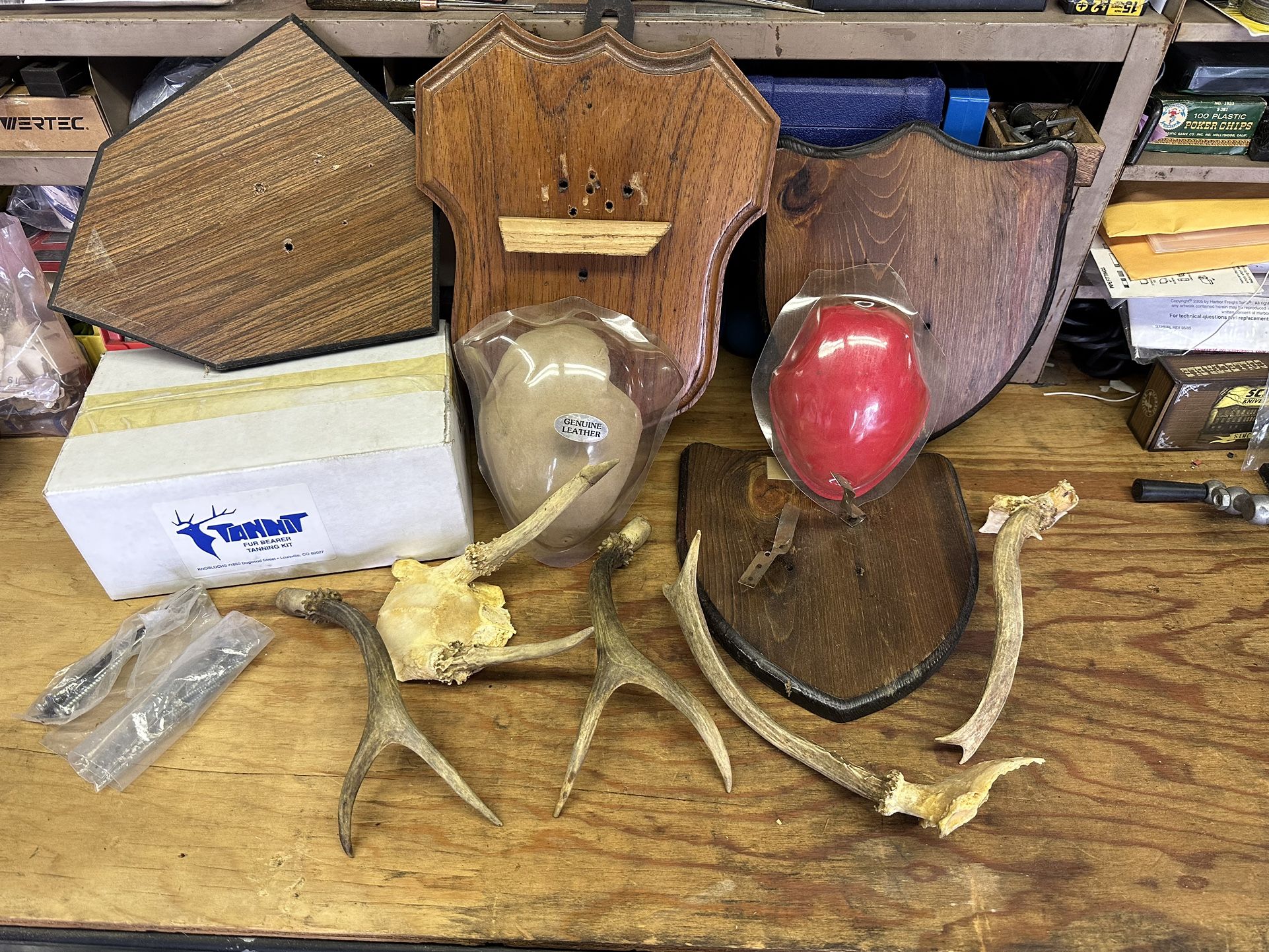 Tannit Tanning Kit & Taxidermy Items