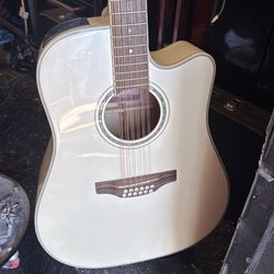 GD 37 Takamine 12 string