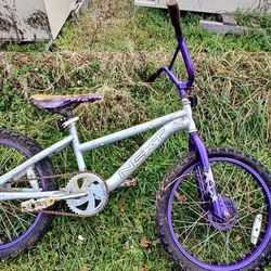 Bike, RR, NEXT, Child’s, Purple, Nr 1