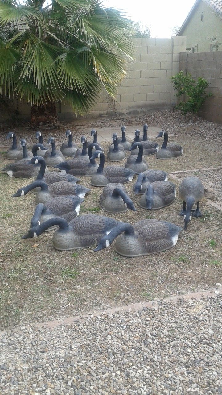 Flambeau Super Magnum Goose Decoys