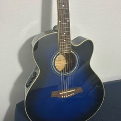 Ibanez Acoustic Electric Guitar