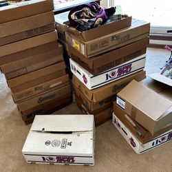 TRAINS, TRAINS, and More TRAINS