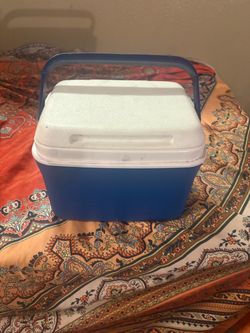 Mini cooler