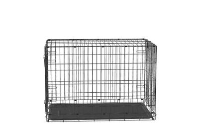 Crate dog