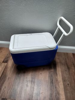 Igloo cooler 36 qrt