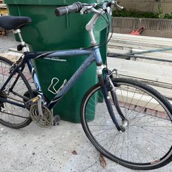 Free Adult Bike 