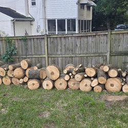 FREE FIREWOOD TREE LOGS