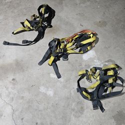 Fall Protection Harness