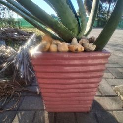 NEW "MAGESTIC FOUNTAINS" PLANTER WITH ROCKS, PLASTIC POTS, SOIL AND A ALOE PLANT TO BOOT, GREAT SETUP FOR THE PRICE!!!