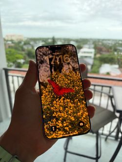 iPhone 17 Pro Max 256gb