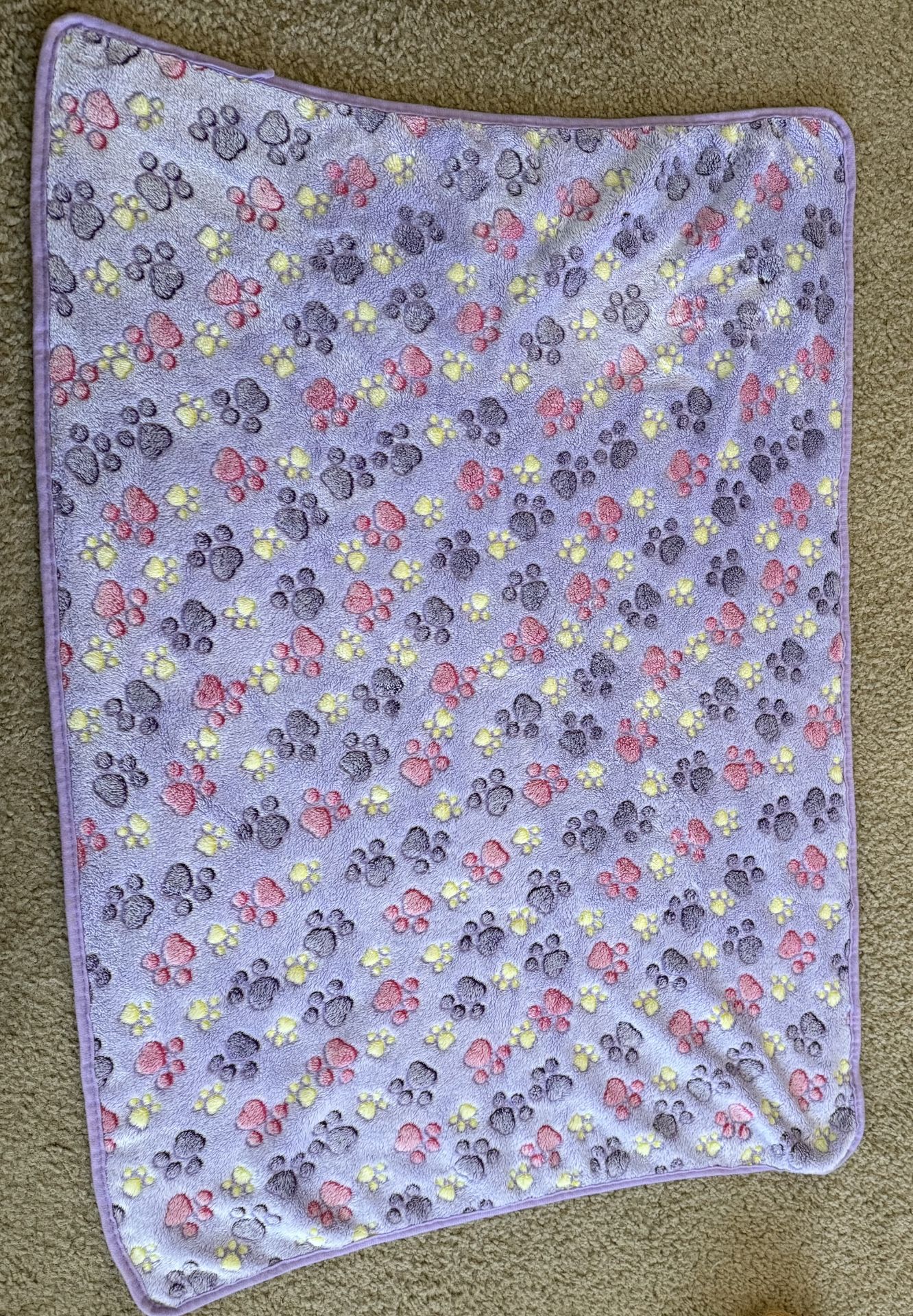 Dog Blanket - LIKE NEW