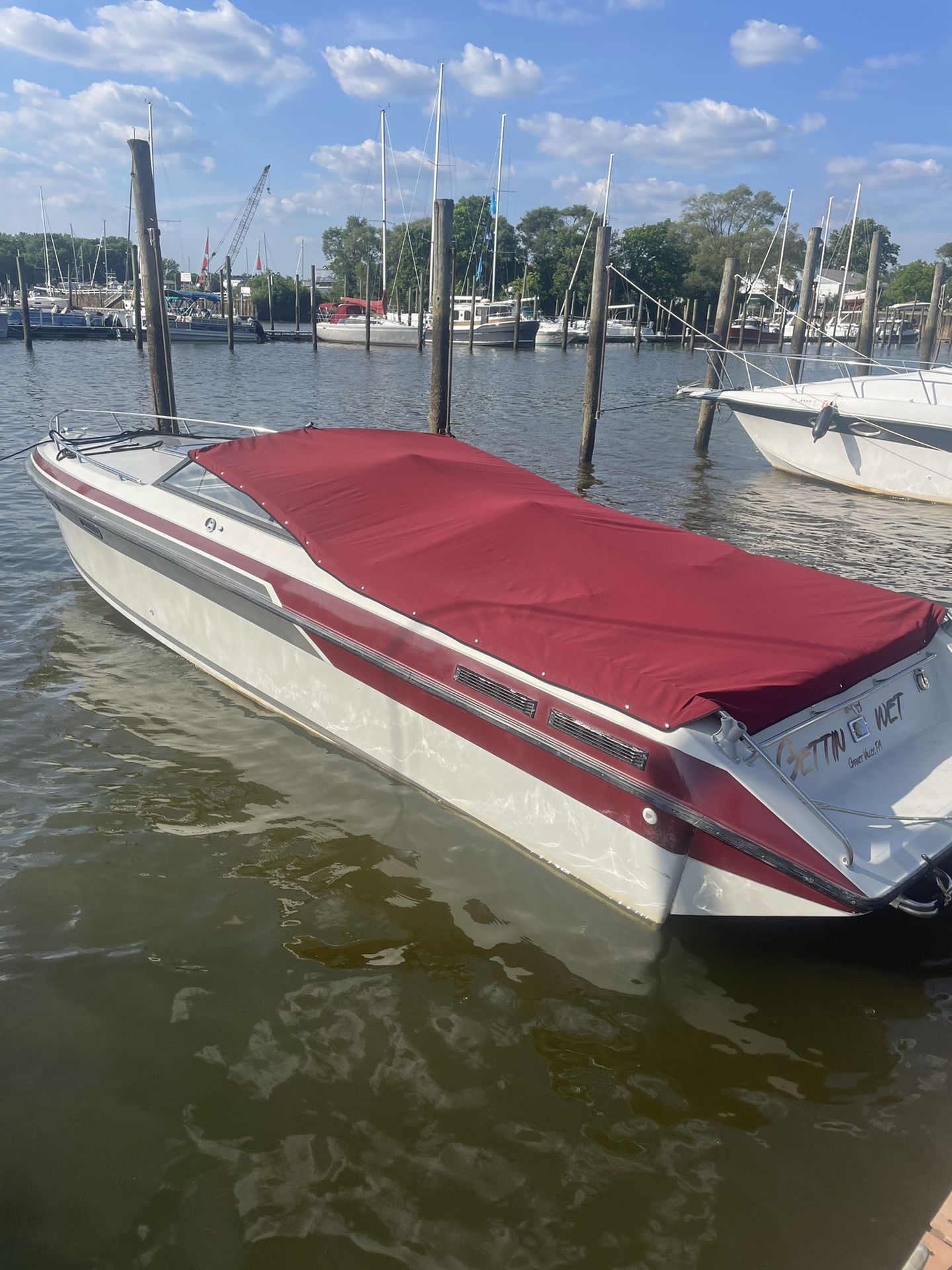 1989 Baja Force 265