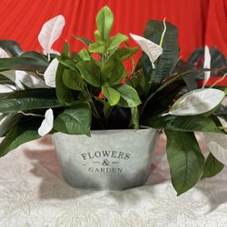 Decorative Plant in Metal Pot