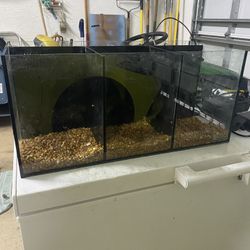 3 Compartment Beta Tank