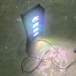 Hydra Led Light