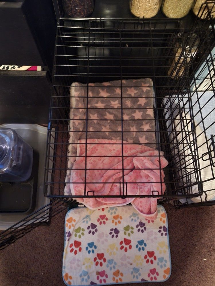 used medium dog cage