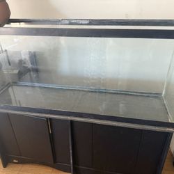 50g Fish/Turtle tank 