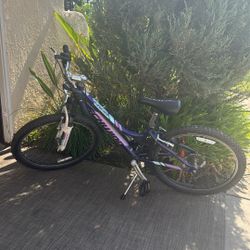Schwinn Bike 