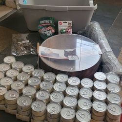 Cat Food, Toys And More