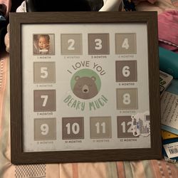 Baby Milestones Picture Frame