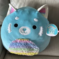 Squishmallow Raccoon Vanessa