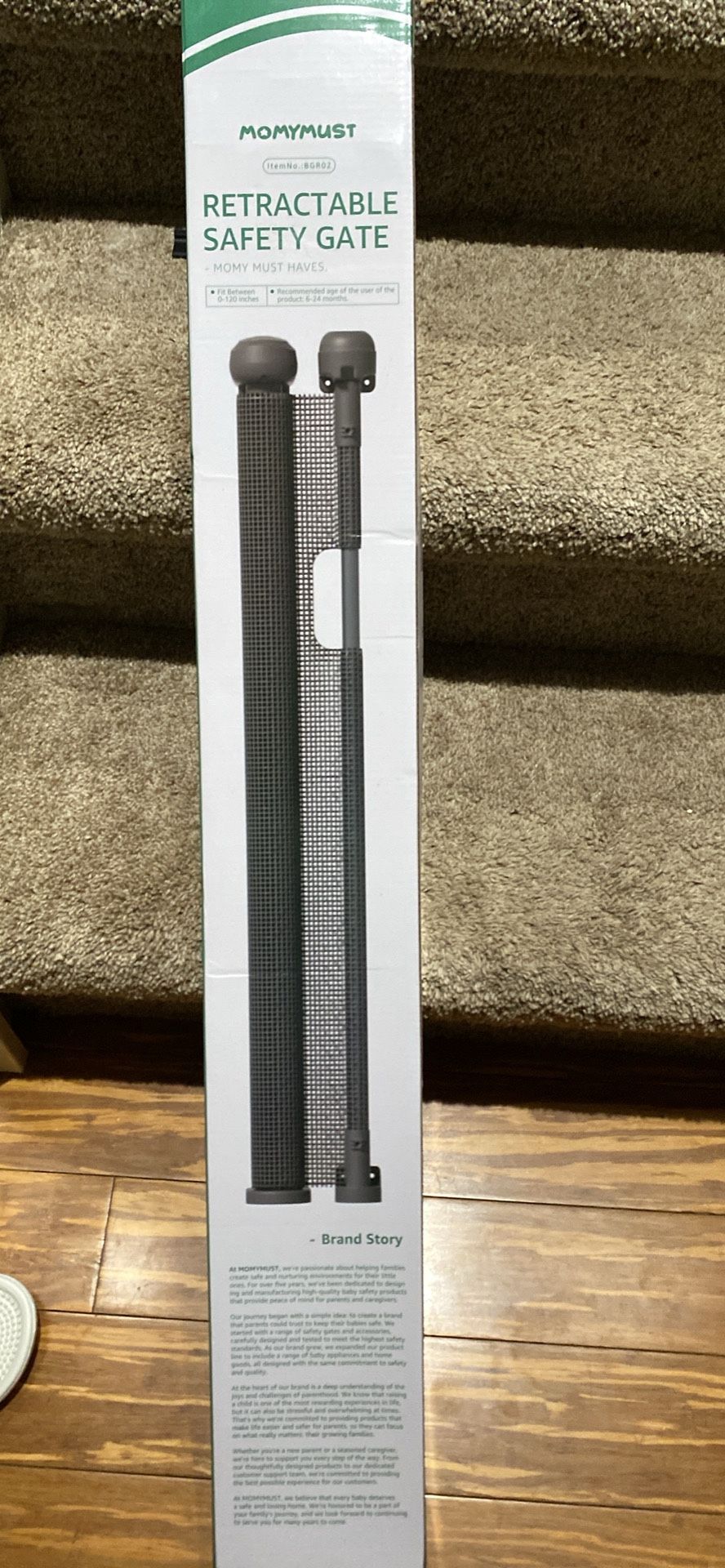 Retractable Gate