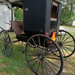 Amish courting buggy