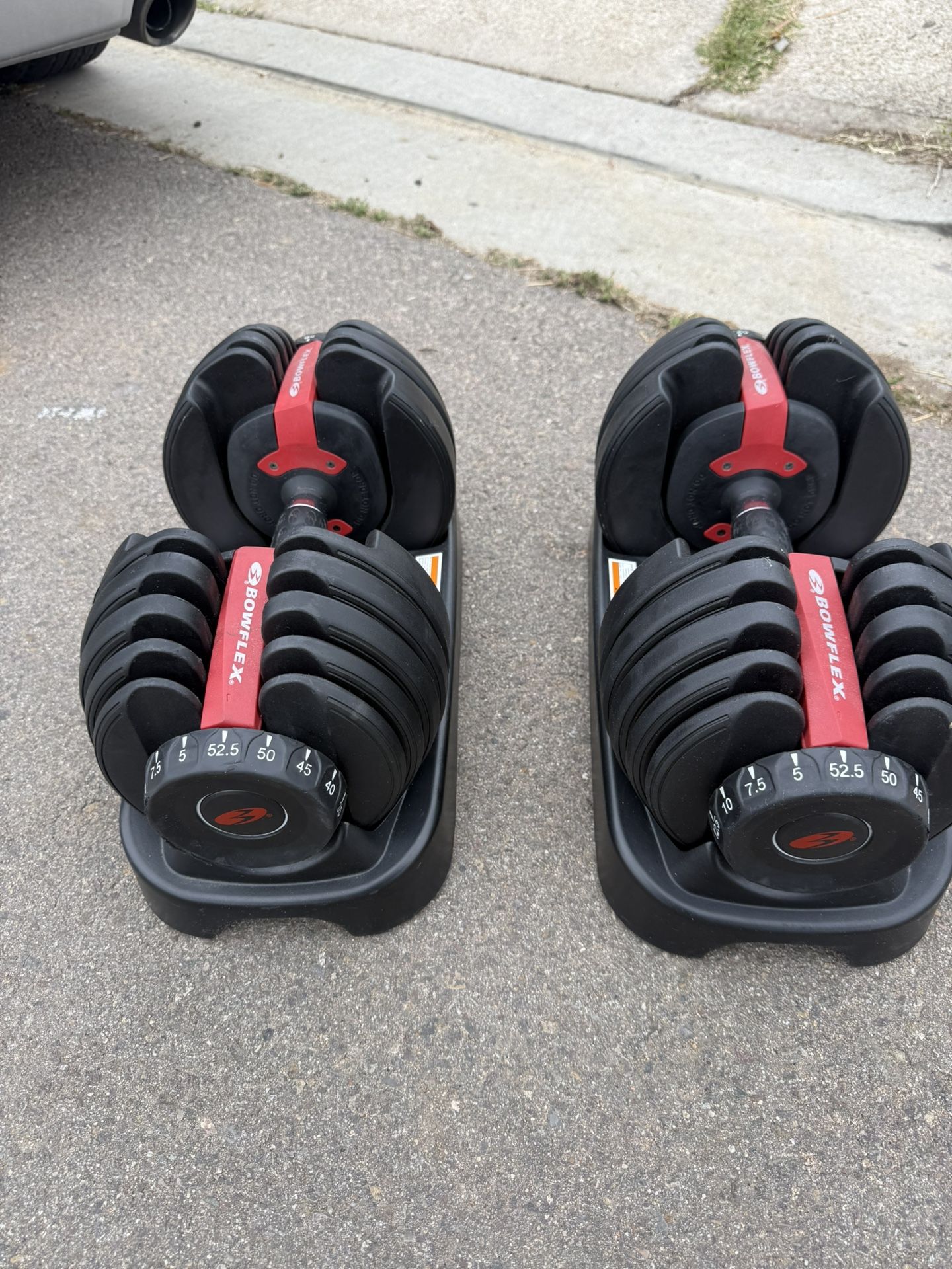 Bowflex 552 Dumbbell Weights