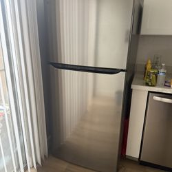 Stainless Steel LG 20 Cu Ft Fridge