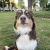 Trevor