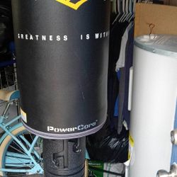 EVERLAST PUNCHING BAG